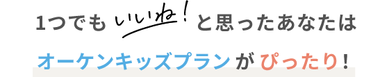 1つでもいいねと思ったあなたはオーケンキッズプランがぴったり!